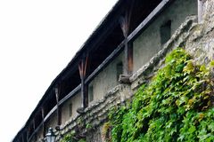 Stadtmauer Berching