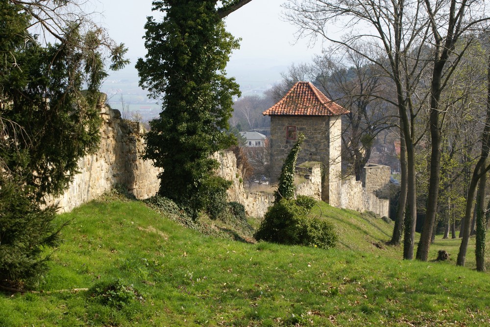 Stadtmauer Blankenburg