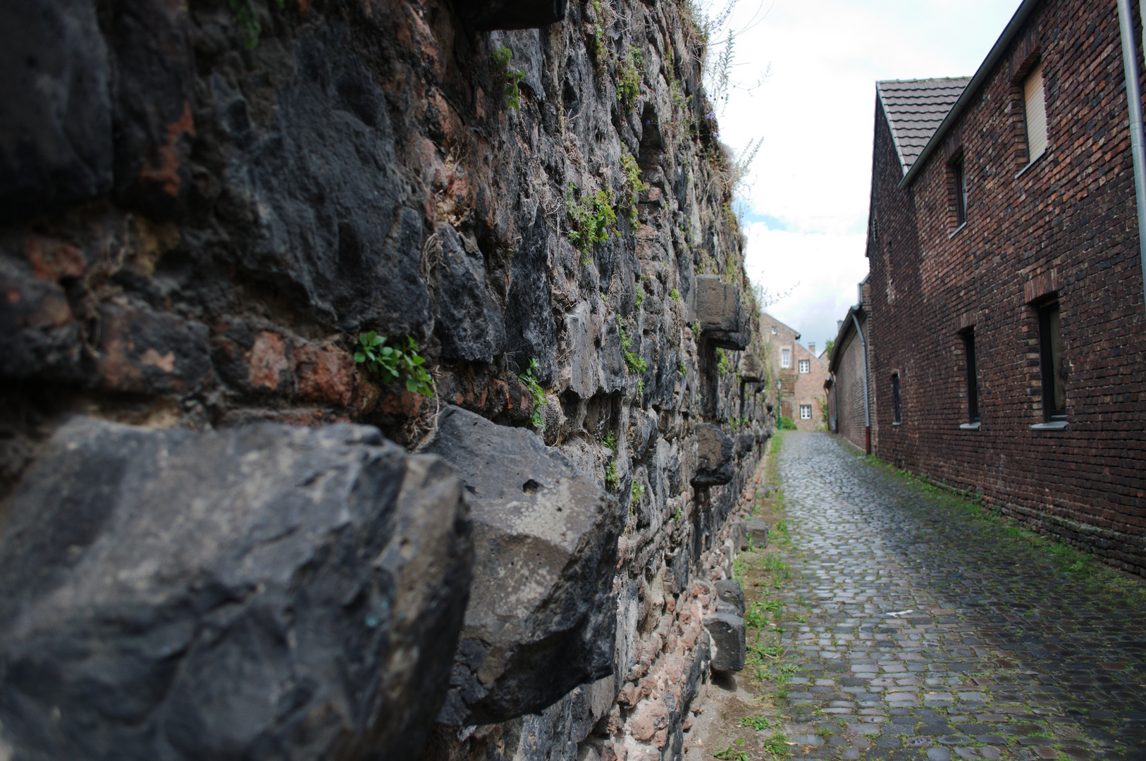 Stadtmauer-Blick