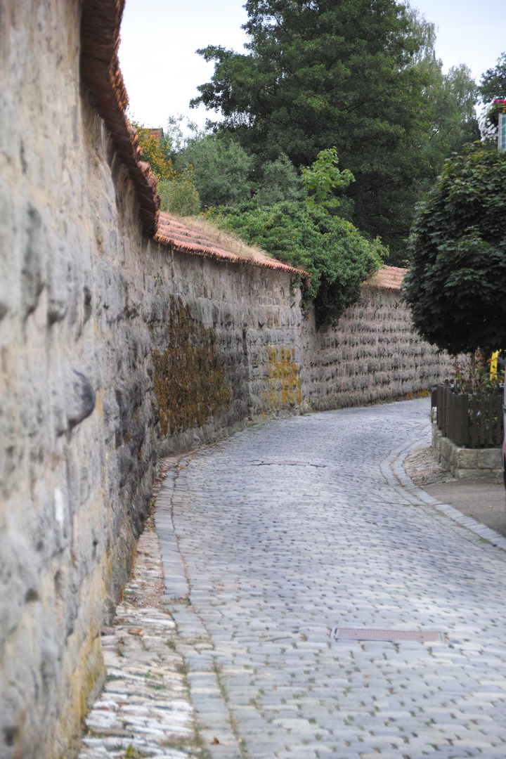 Stadtmauer Dinkelsbühl