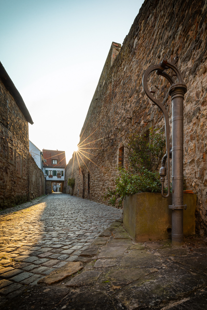 Stadtmauer Freinsheim