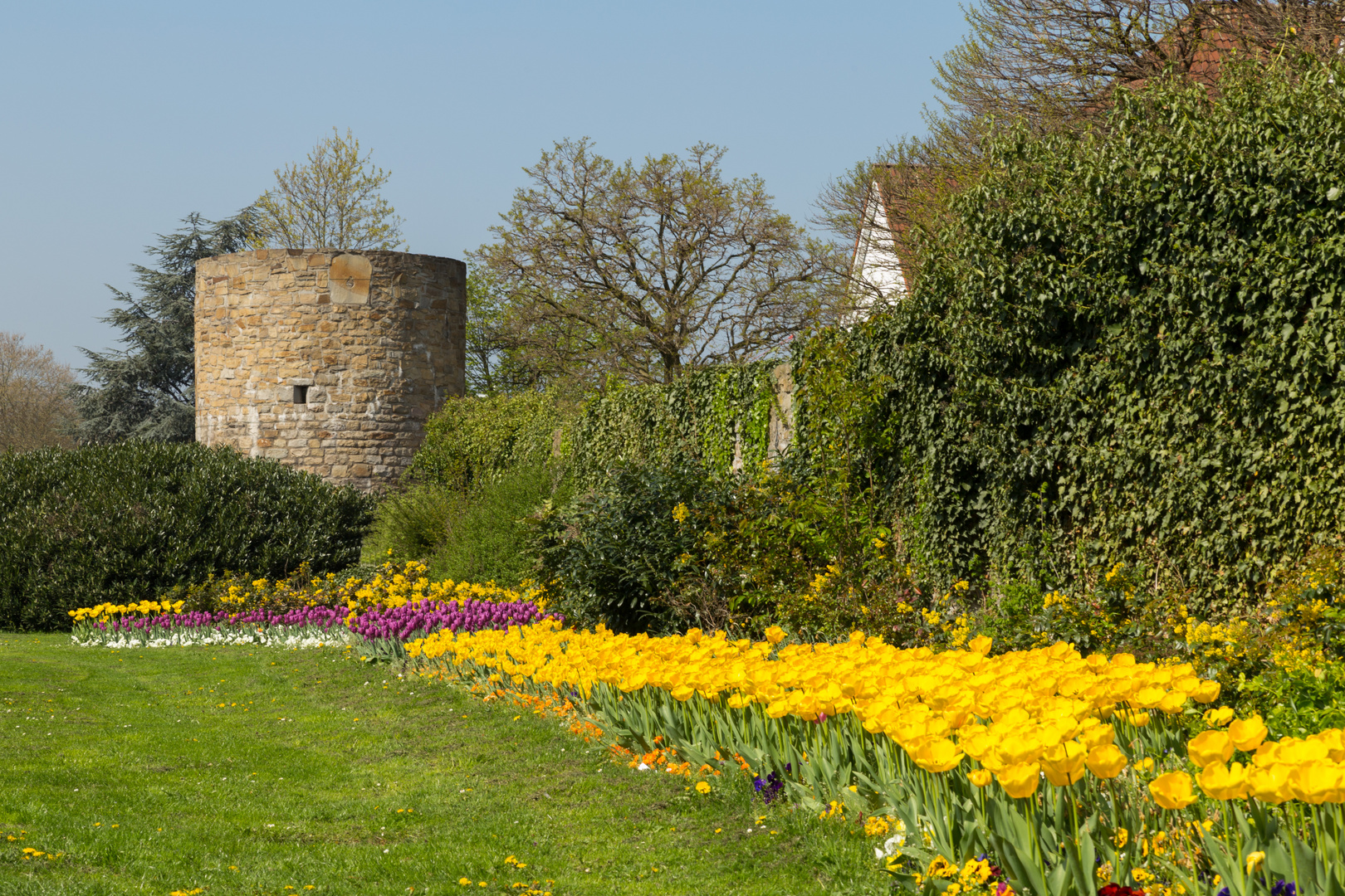 Stadtmauer Hattingen