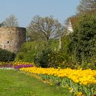 Stadtmauer Hattingen