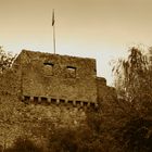 Stadtmauer Hillesheim 2 SW