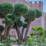 Stadtmauer II - Marrakesch/Marokko