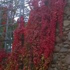 Stadtmauer im Herbst