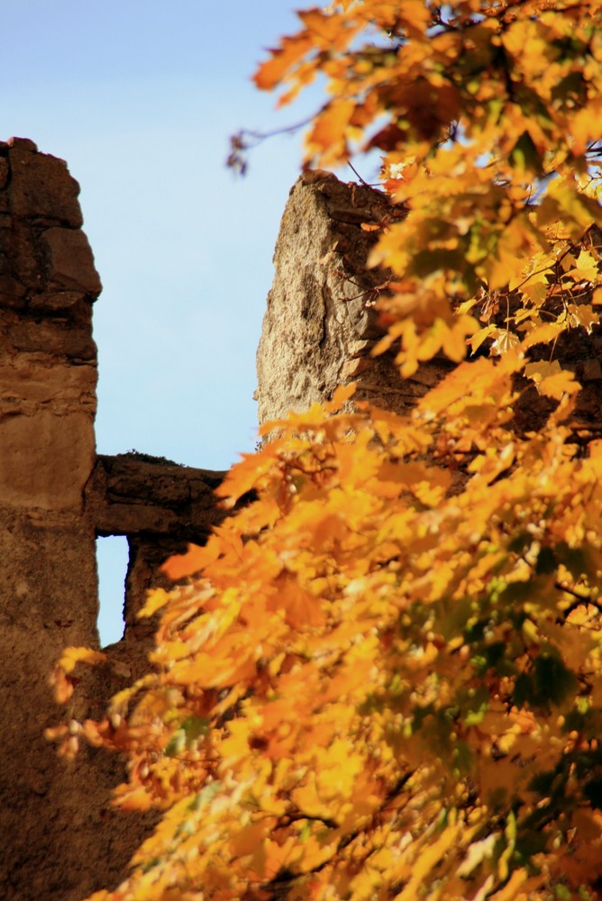 Stadtmauer im Herbst