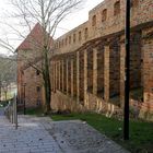 Stadtmauer in Rostock