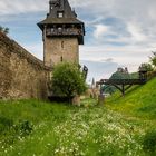 Stadtmauer Oberwesel mit Kuhhirtenturm