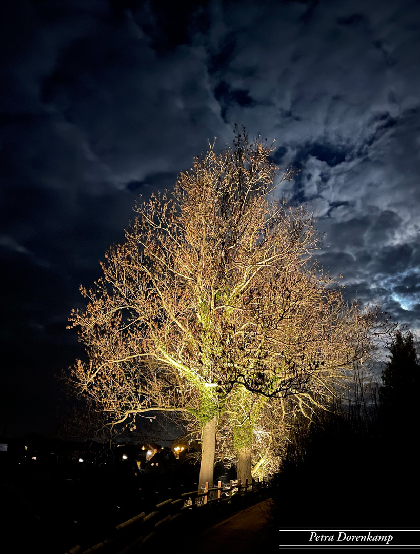 Stadtmauer Rüthen im Mondlicht