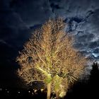 Stadtmauer Rüthen im Mondlicht