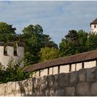 Stadtmauer St.Alban