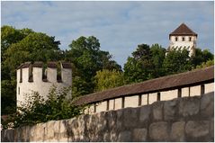 Stadtmauer St.Alban