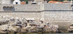 STADTMAUER STRAND DUBROVNIK