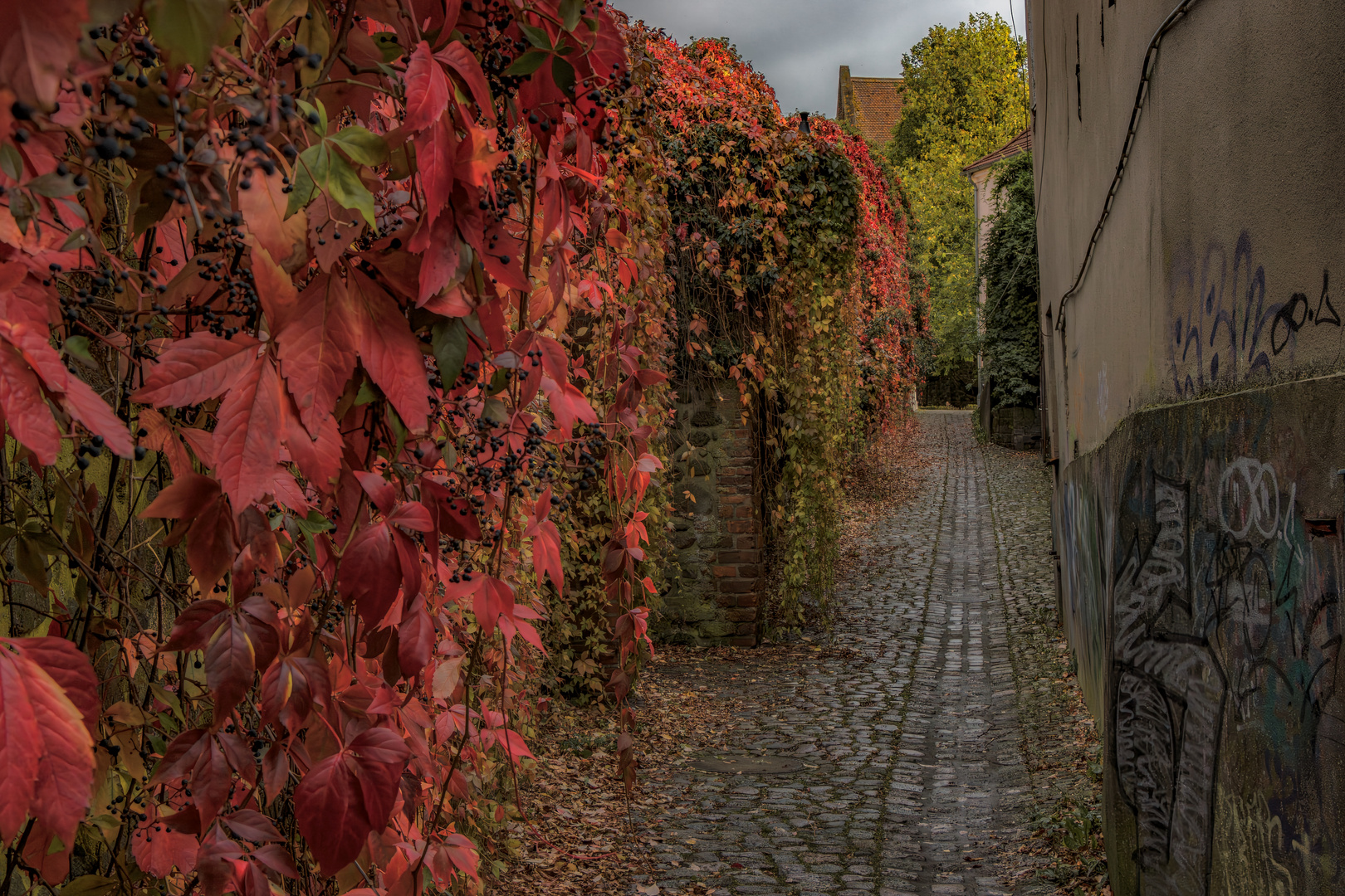 Stadtmauer Templin im Herbstkleid