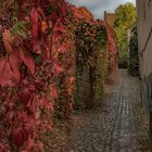 Stadtmauer Templin im Herbstkleid