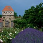 Stadtmauer-Turm