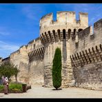 Stadtmauer von Avignon