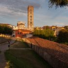 Stadtmauer von Lucca