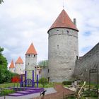 Stadtmauer von Tallinn