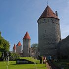 Stadtmauer von Tallinn