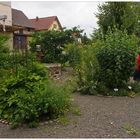 Stadtökologischer Lehrgarten Weismain