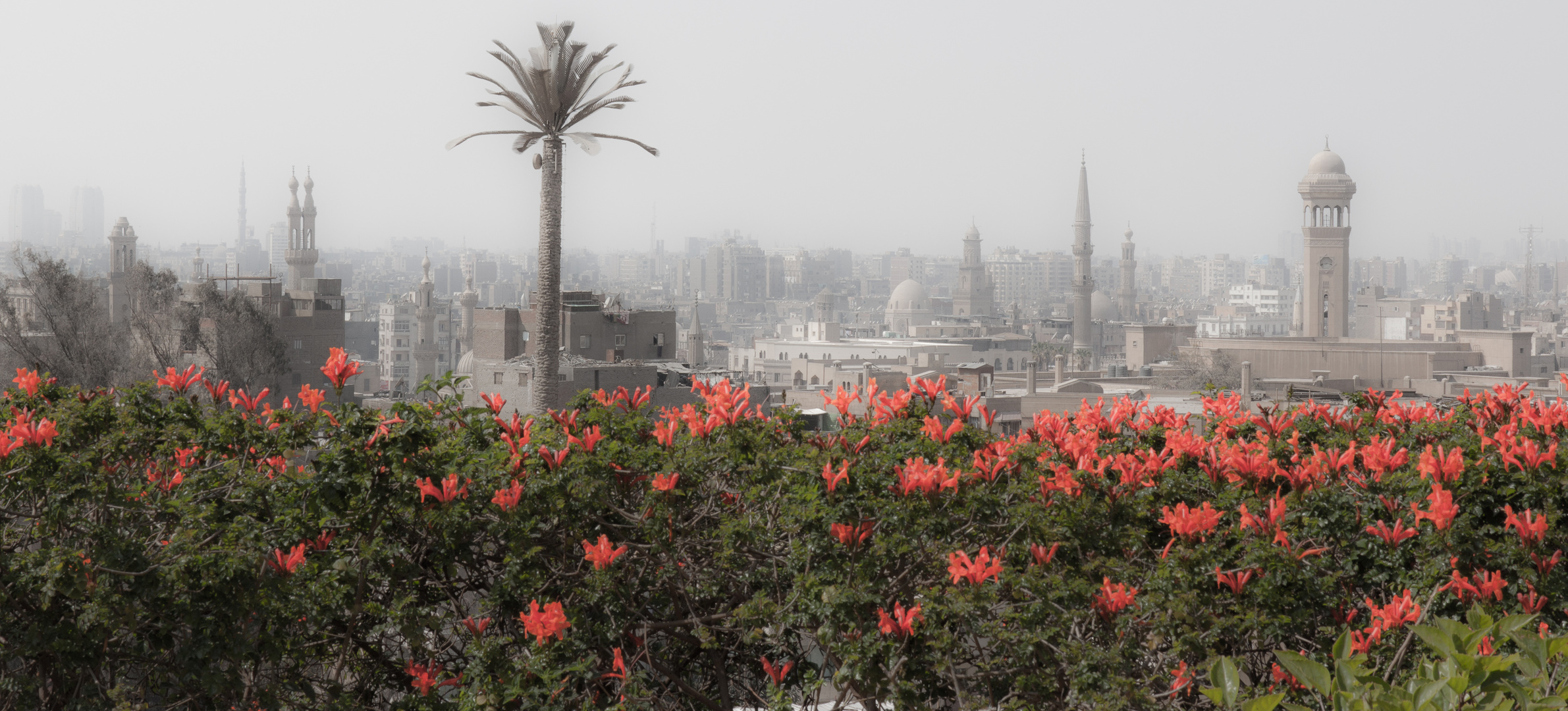 Stadtpanorama mit Blüten