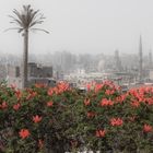 Stadtpanorama mit Blüten