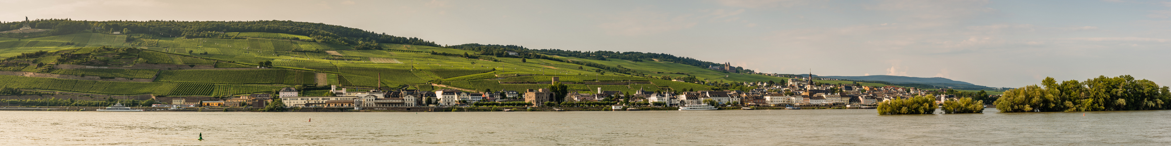 Stadtpanorama Rüdesheim (3)