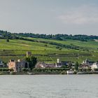 Stadtpanorama Rüdesheim (3)