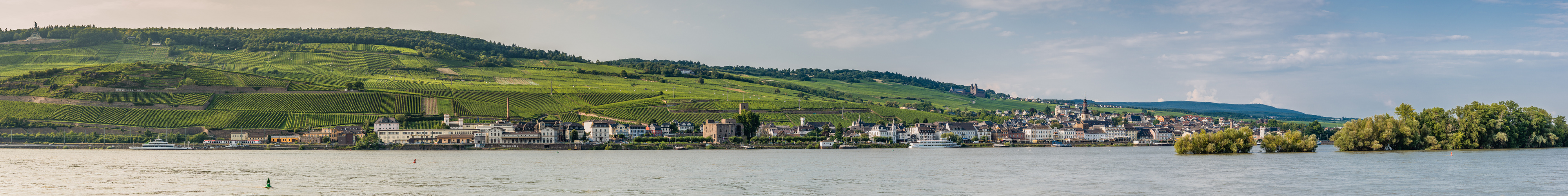 Stadtpanorama Rüdesheim (3)