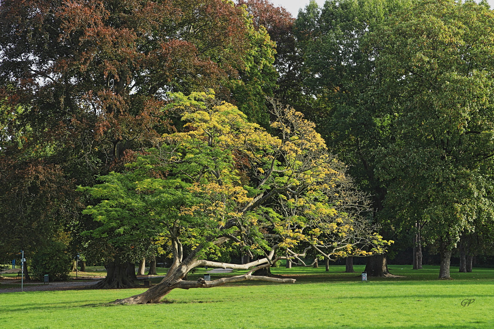 Stadtpark