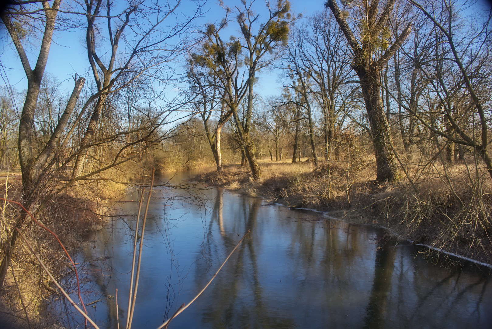 Stadtpark 2