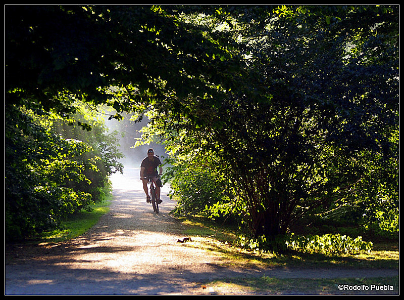 Stadtpark 2