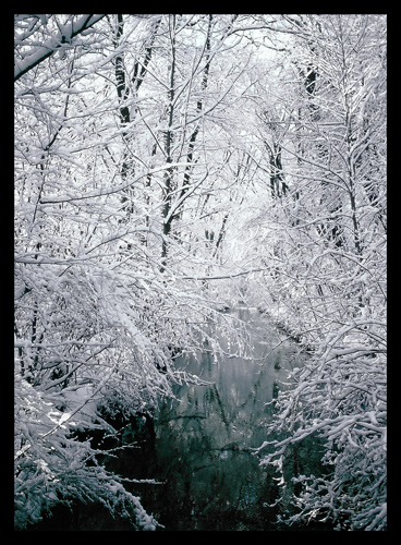 Stadtpark