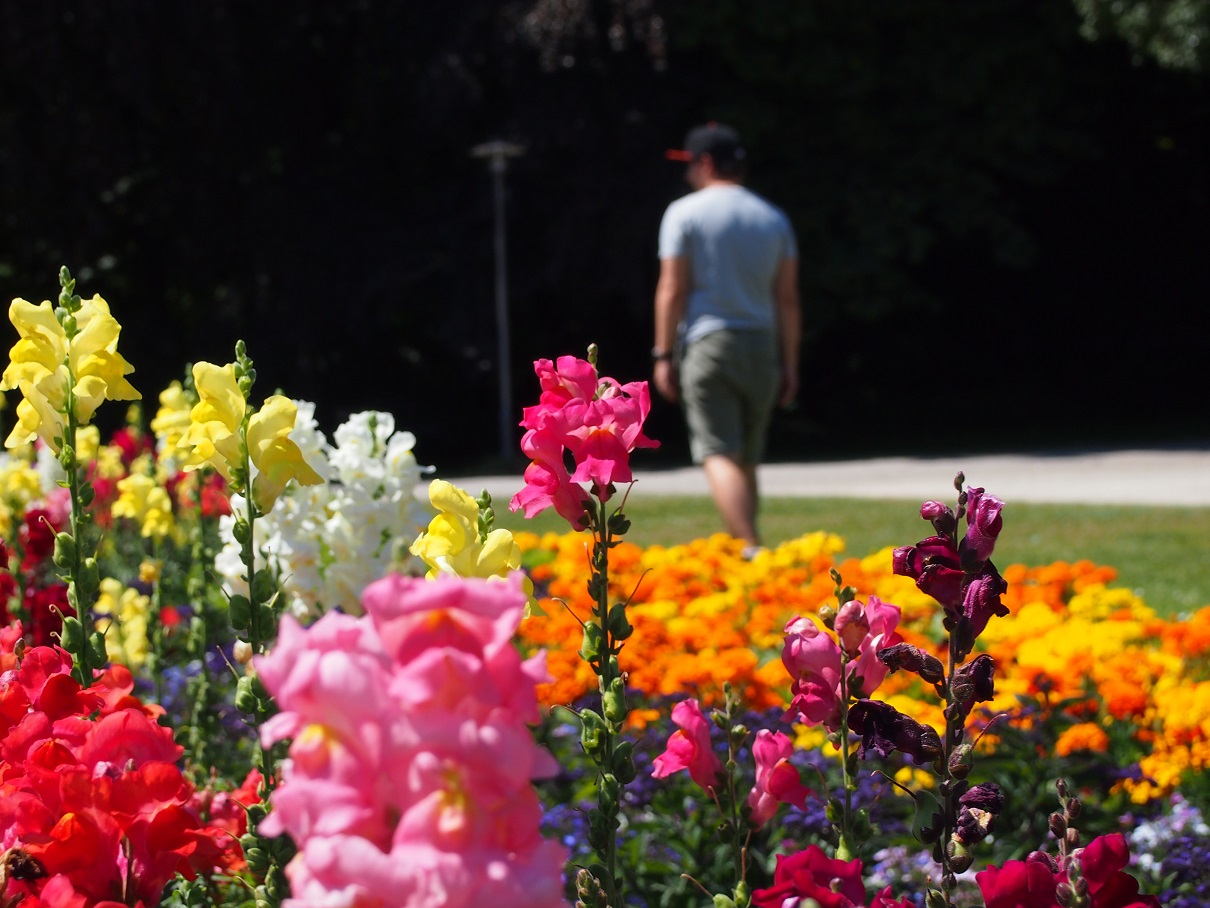 Stadtpark