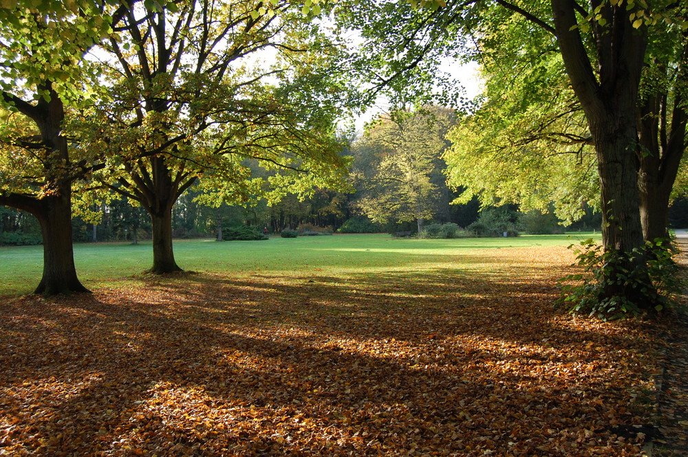 Stadtpark