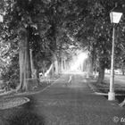 Stadtpark Allee bei Nacht