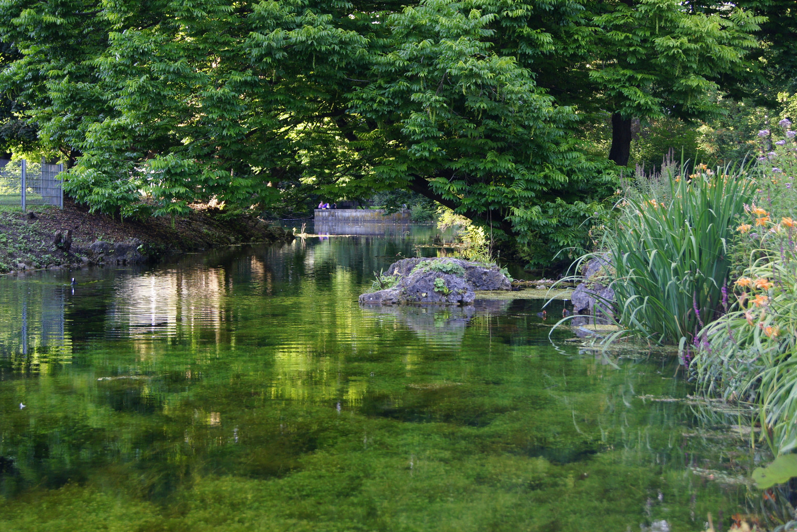 Stadtpark an Donau.