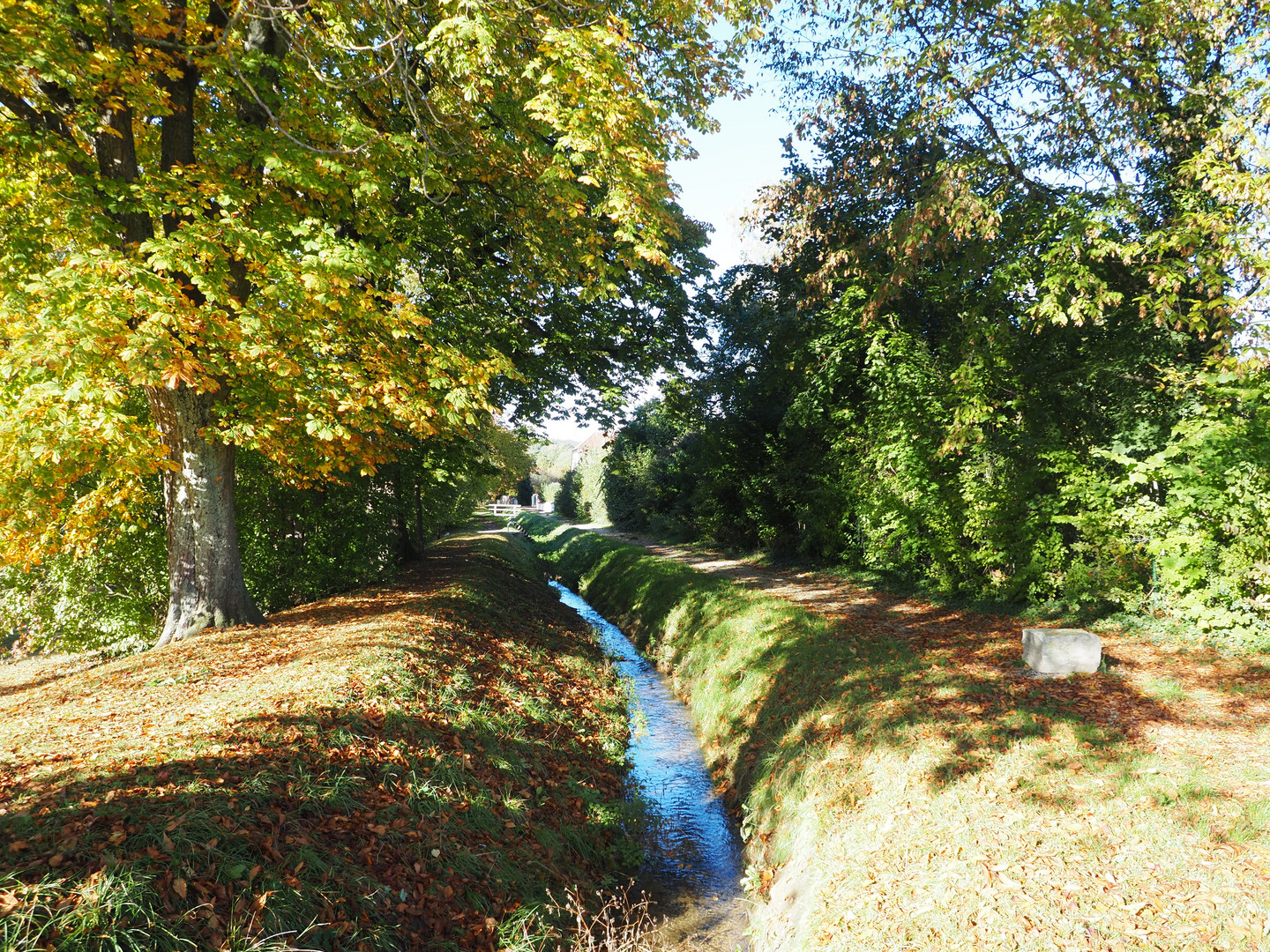 Stadtpark Berching/ Altmühltal