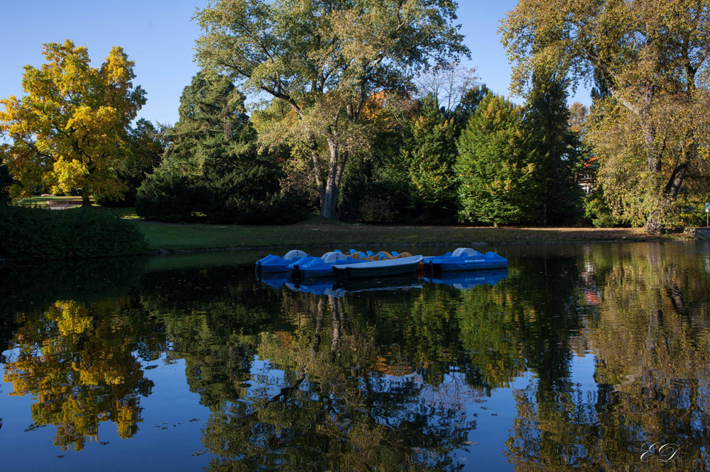 Stadtpark Bochum 1 Foto &amp; Bild landschaft, garten
