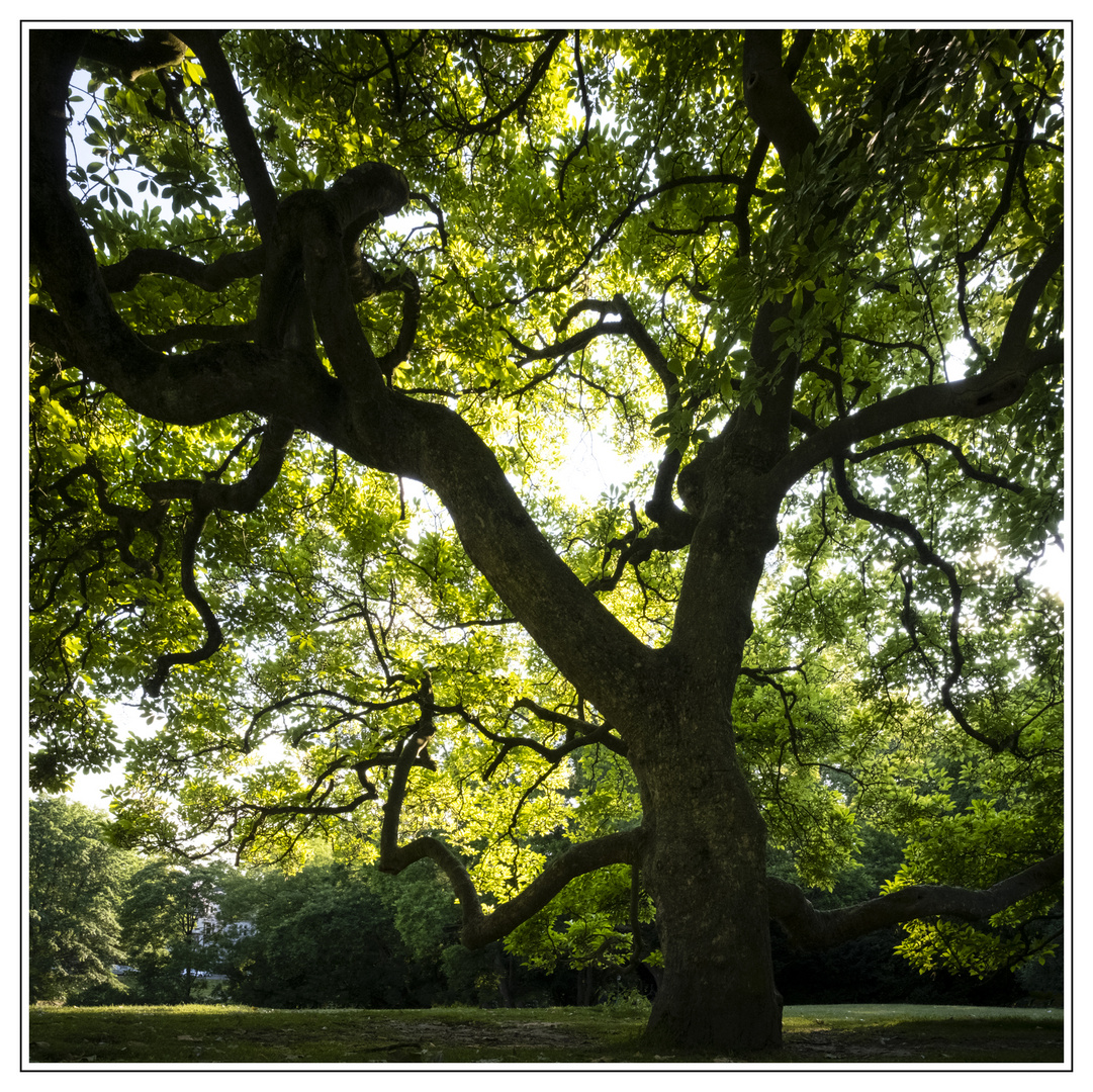 Stadtpark Bochum -16