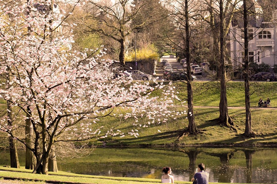 Stadtpark Bochum