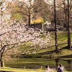 Stadtpark Bochum