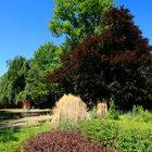 Stadtpark Bochum - Ein schönes Stück Ruhrpott