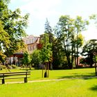 Stadtpark Bretten im Sommer