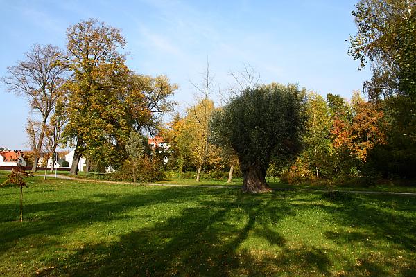 Stadtpark Eilenburg