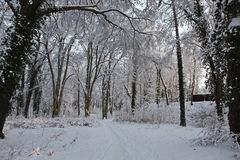 Stadtpark Eisleben im Winter