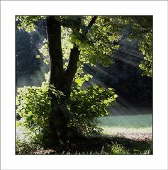 Stadtpark Erding Sommer 2007