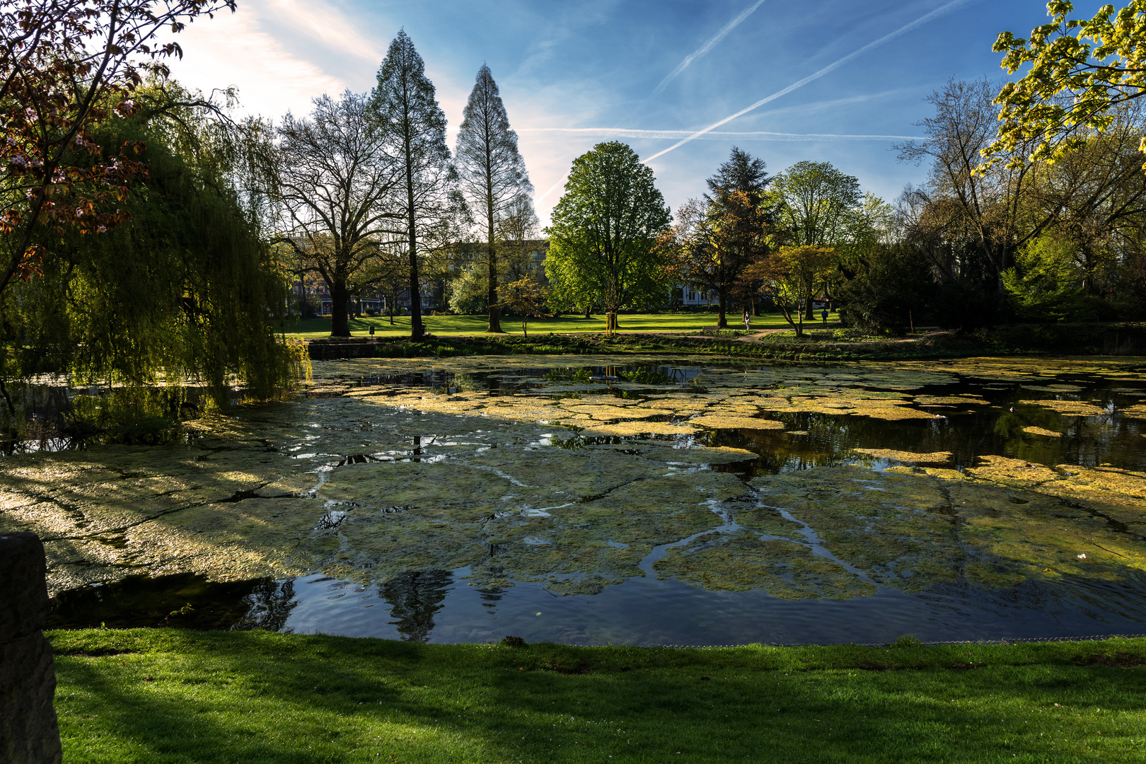 Stadtpark Essen am Saalbau.